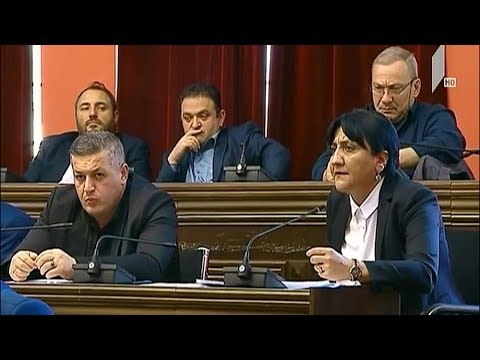 „პატრიოტთა ალიანსის“ რეზოლუციის პროექტის განხილვა გადაიდო