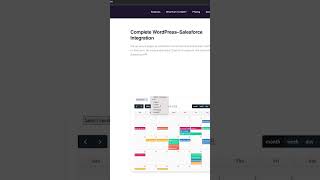 Salesforce + WordPress = Less Manual Work