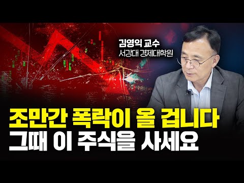   미국에서 진짜 무서운 게 온다 현금 아껴뒀다가 이 주식 사세요 김영익 교수 1부