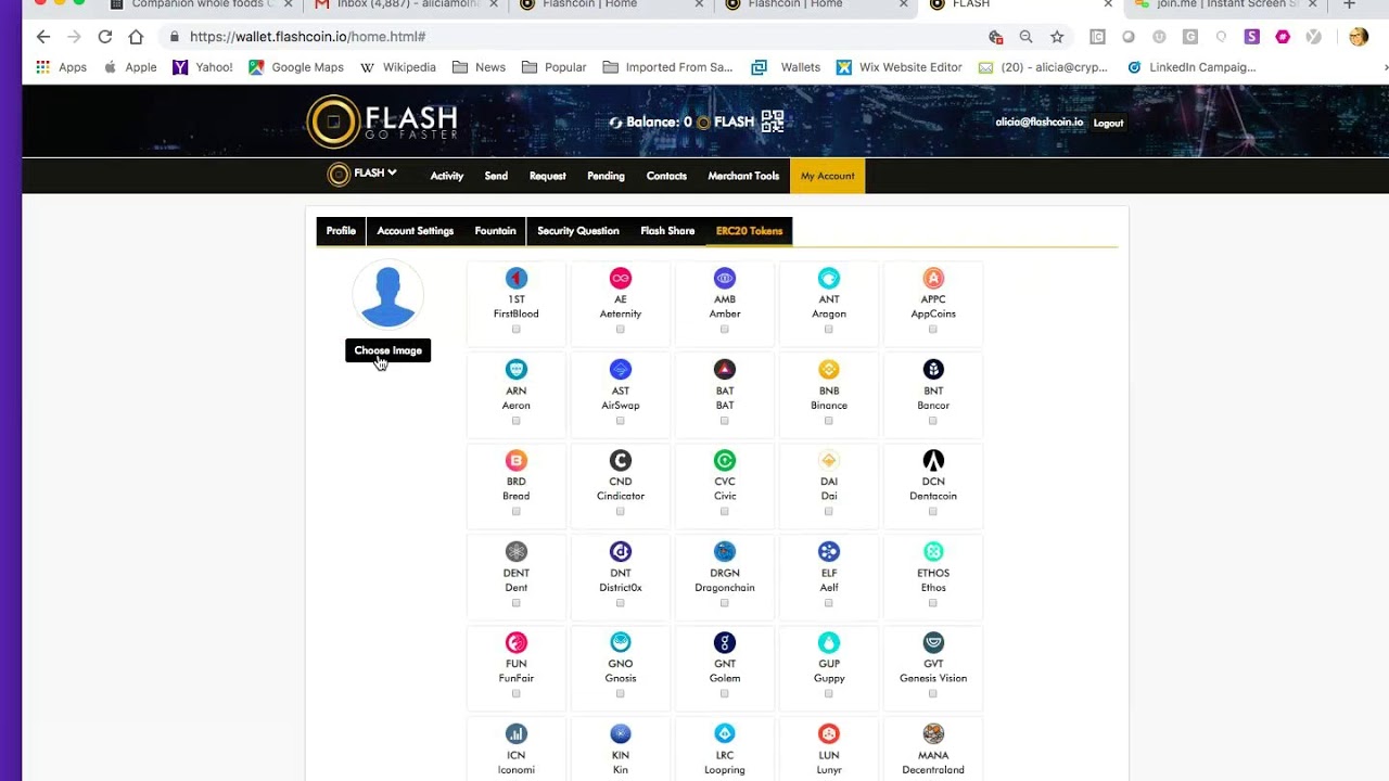 Flashwallet FLASH Web Wallet Tutorial - Open and Use the FWW - YouTube
