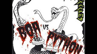 01 •  Test Icicles - All You Need Is Blood & Boa Vs  Python   (Demo Length Versions) Net Worth