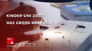 Kinder-Uni 2022: Das große Krabbeln – wie geht es Käfer, Ameise und Biene?