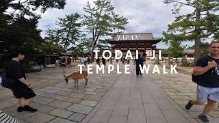 Walking Through Todai-ji Temple | Nara’s Great Buddha & Ancient History