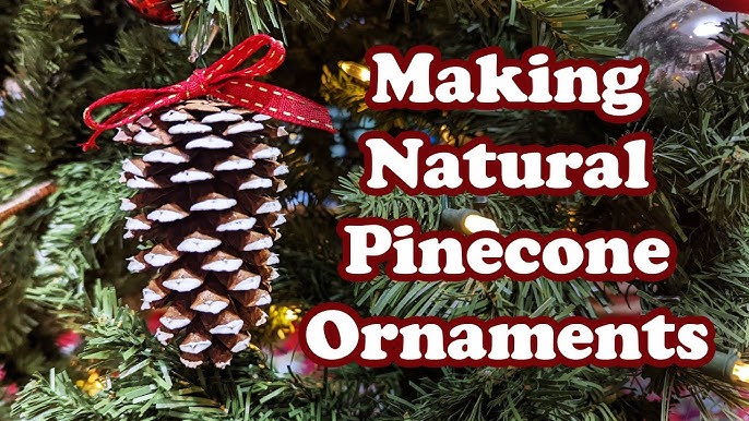 DIY Frosted Pine Cone Ornament - Joyful Derivatives