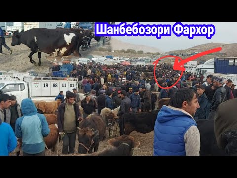 Видео: Шанбебозори Фархор нарх хела фарк мекунад, 18 ноября 2023 г.