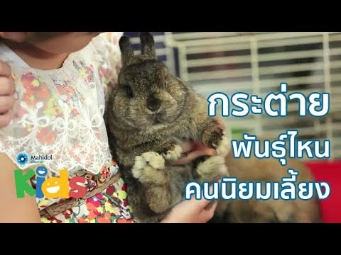 วีดีโอ: เหรียญญี่ปุ่น ประวัติศาสตร์และความทันสมัย เหรียญที่ระลึก