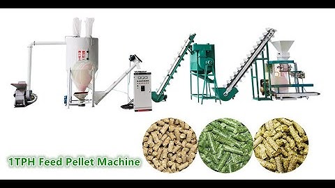 Easy To Operate 1-2 T/H Feed Pellet Production Line #feedpelletmachine #poultryfeedmachine