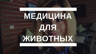 Медицина для животных в Америке | США Калифорния