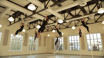 Sullivant’s Travels