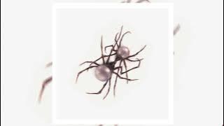 Download lagu Doja Cat - Agora Hills (Clean - Audio)