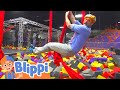 Blippi Learns Animals, Colors, Shapes and More At The Trampoline Park!
