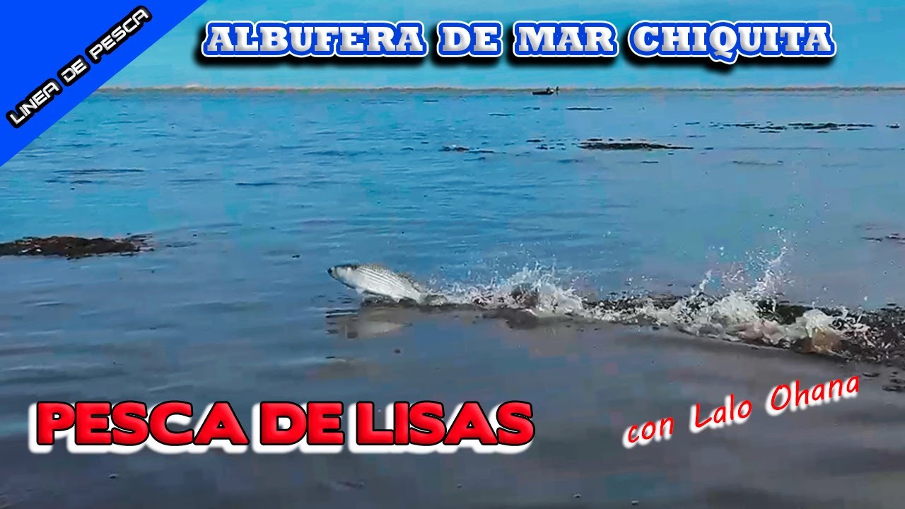 Albufera Mar Chiquita 🐟 PESCA DE LISAS con Lalo Ohana