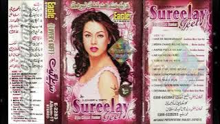 Sureelay Geet Album 17 | Complete Album With | Eagle Ultra Classic Jhankar | Master Of Jhankar |