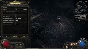 POE 2: How to Turn On/Off Screen Shake