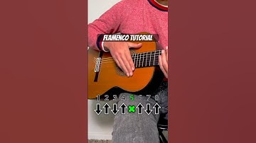 Flamenco step by step guitar tutorial