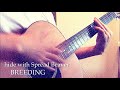 hide with Spread Beaver -BREEDING【スラム奏法/Guitar Cover】