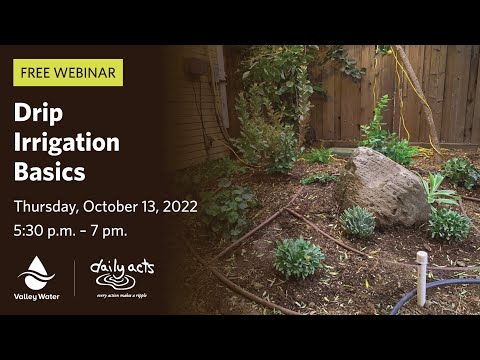 VW Webinar (English):
