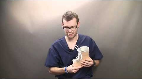 Explanation of why Cpeds can provide this Stepwell Custom AFO.