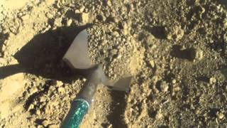 Desert Queen Bee Claim Sampling pt. 2--10-30-14-Larry