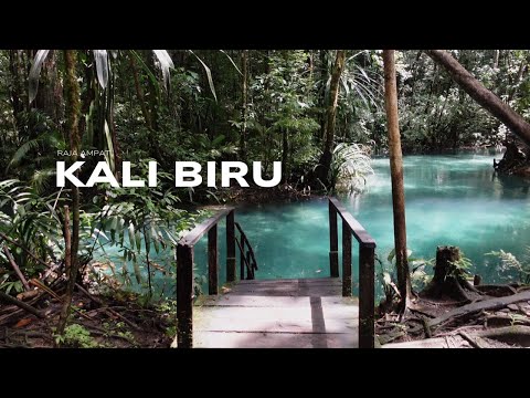Kali Biru, Raja Ampat [Papua Vlog #2]