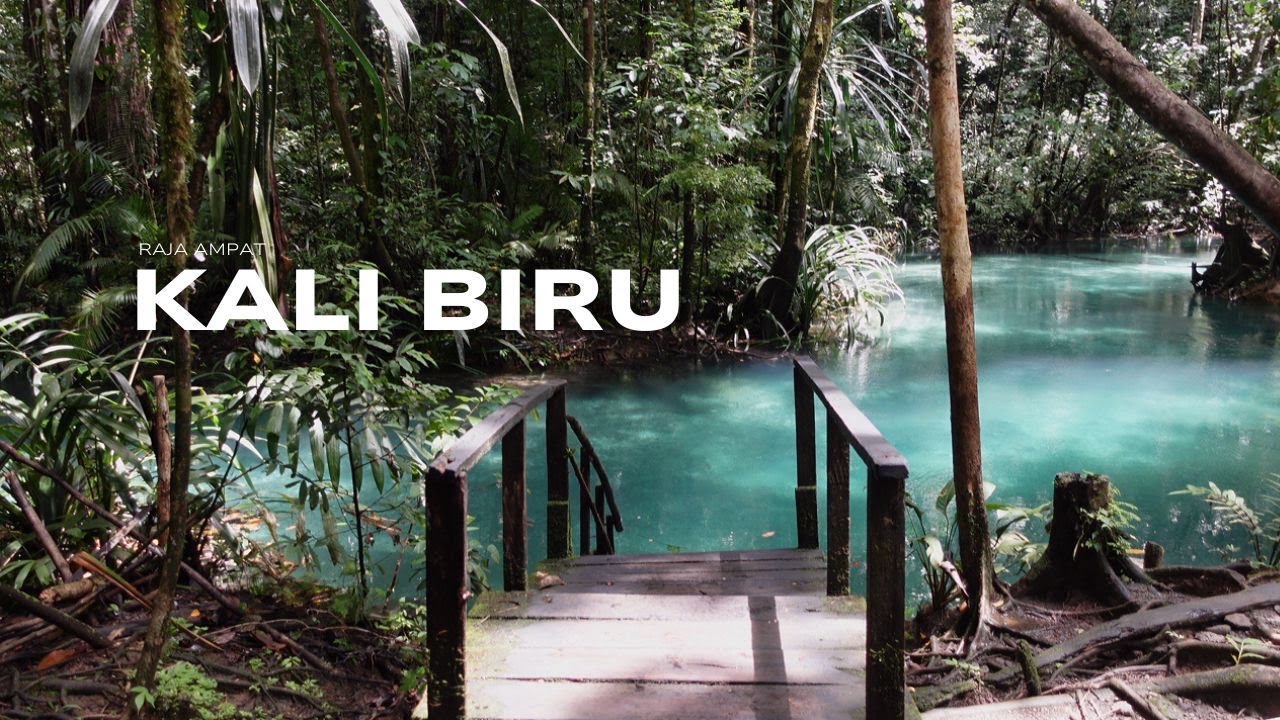Kali Biru, Raja Ampat [Papua Vlog #2] - YouTube