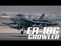 The Radar-Jammer Super Hornet | EA-18G Growler