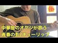 【カバー】中華屋のオヤジが歌う青春の影