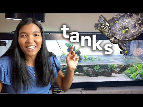 TURTLE TANK IDEAS FOR 2023! (reacting to my subscribers turtle tanks) 