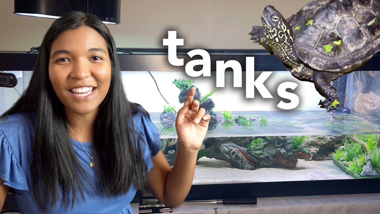 TURTLE TANK IDEAS FOR 2023! (reacting to my subscribers turtle tanks) 