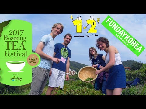 Video: Kakšen Je Bil Festival Blata V Koreji