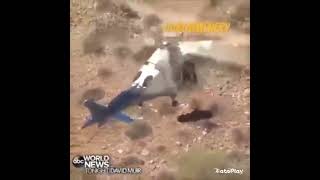 My favorite Bob Menery videos