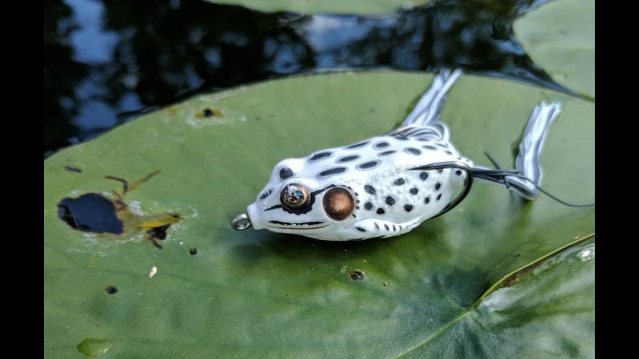Live Target Frog Fishing Topwater Bass Fishing GoPro Hat Cam