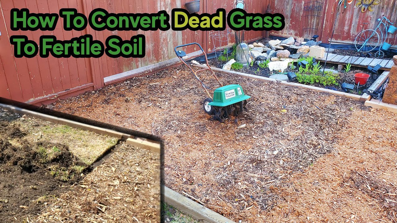 How To Convert A Dead Lawn Into Fertile Garden Soil Tilling, Amendments & Mulch YouTube
