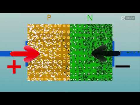 Video: Ý bạn là gì về phân cực thuận và phân cực ngược của diode tiếp giáp pn?