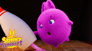 Sticky Bubble Gum | Sunny Bunnies | Cartoons for Kids | WildBrain Blast by WildBrain Blast 58,386 views 1 year ago 24 minutes