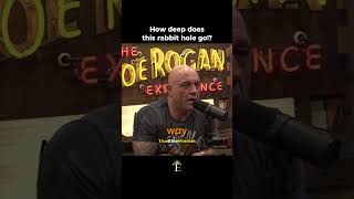 Is this a Global Garage Sale? Spencer Pratt keeps digging ⁨#SpencerPratt #LAMayor #joerogan #jre