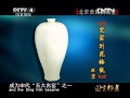 国宝档案  《国宝档案》 20120424 北宋黄鼬鹦鹉壶