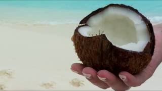 How to open a coconut. Video by locals from Maldives.