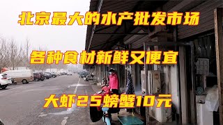 北京最大的水产批发市场，各种海鲜新鲜又实惠，大虾25元螃蟹10元【食神涛哥美食汇】