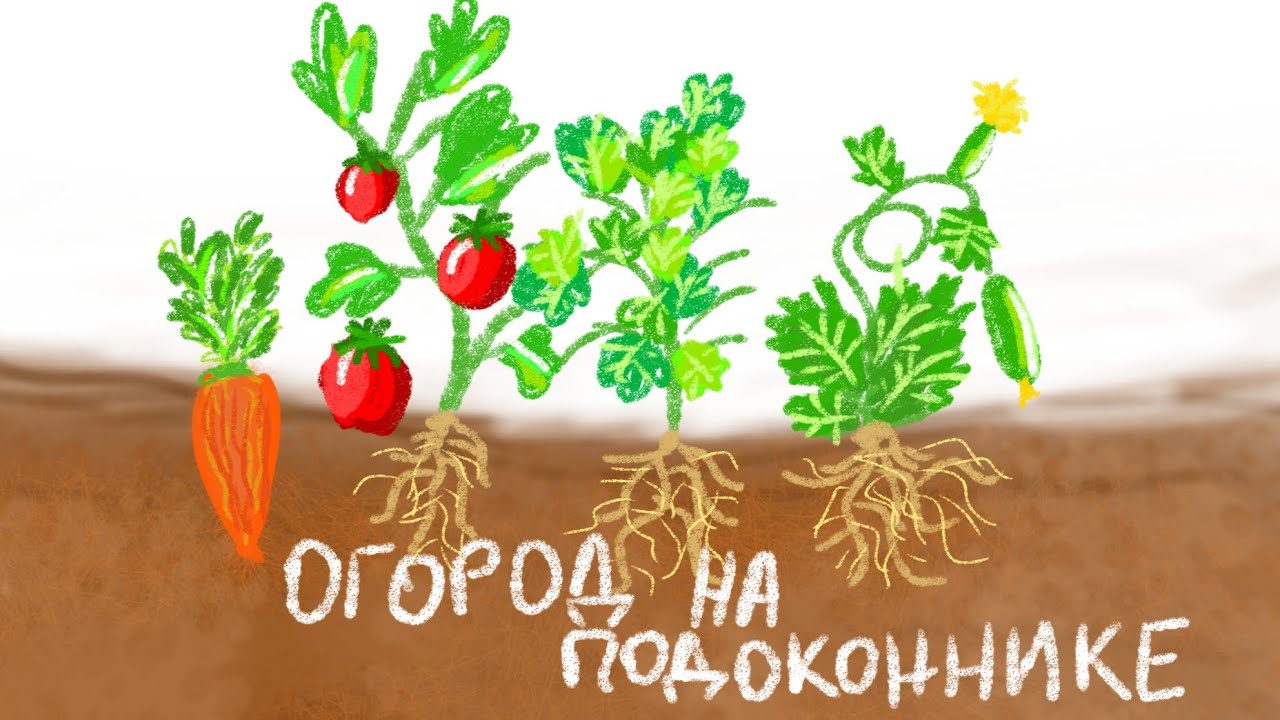 Как вырастить рассаду на подоконнике [ч:1] ? #огород #дачныйсезон # ...