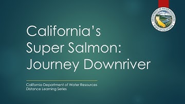 California’s Super Salmon: Journey Downriver