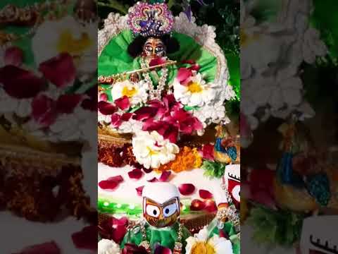Krishna Temple Decoration Vrindavan Theme | Forest Theme Janmashtami Decoration | Hare krishna