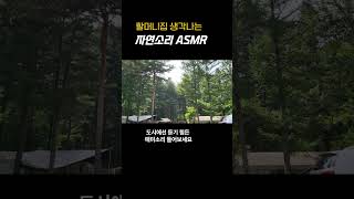 ASMR 마음이 편안해지는 자연의 소리  #자연소리 #소리치유 #레인벨ASMR #asmrforsleep