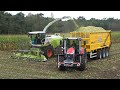 Reimink van start in de mais met nieuwe Claas Jaguar 950 en demo Massey Ferguson 8S 245 (2021)