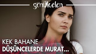 Hasret mutfakta kek yapmaya karar veriyor! - Gönülçelen