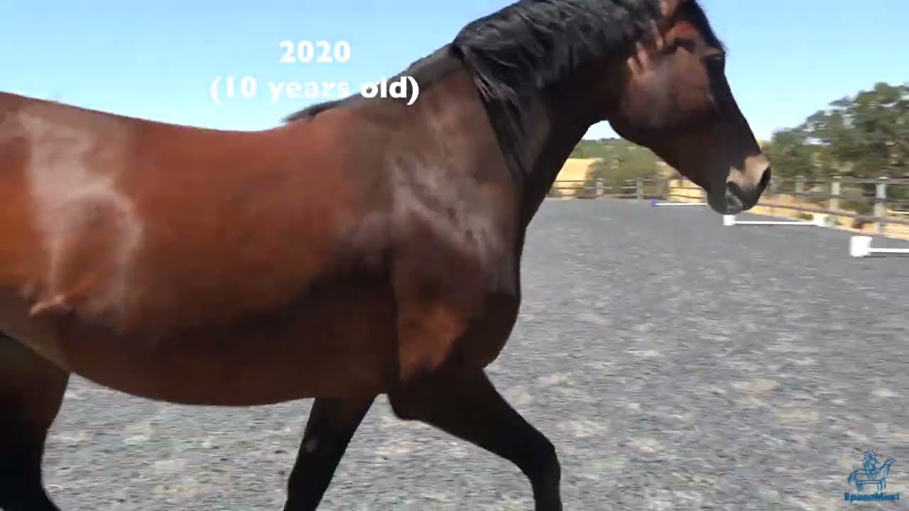 Bianca - Reflection on Her Journey