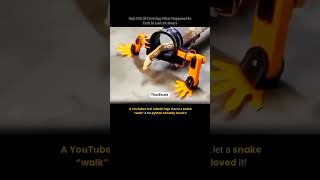 Breakthrough Tech: Robotic Legs Help Snake ‘Walk’ in Stunning New Experiment