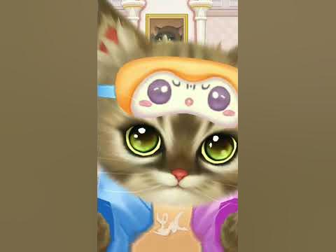 котик милашка #cat #short - YouTube