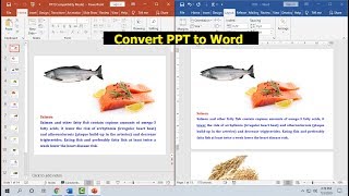 How to Convert PowerPoint to MS Word Editable File