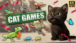 CAT GAMES 🐾3D Game for Cats | Video for Cats – Ultimate CAT TV #194 😻 4K60FPS screenshot 5